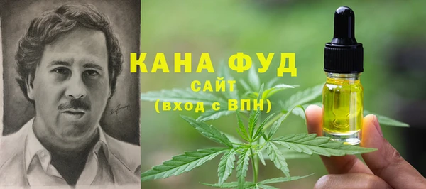 ГАЛЛЮЦИНОГЕННЫЕ ГРИБЫ Аркадак