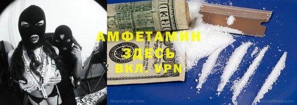 ГАЛЛЮЦИНОГЕННЫЕ ГРИБЫ Аркадак