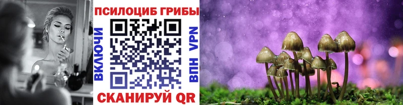 мориарти Telegram  мега маркетплейс  Галлюциногенные грибы GOLDEN TEACHER  Сольвычегодск  дарнет шоп 